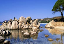 如何实现90分钟足球比分的免费调用?